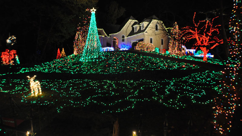 invasion of the christmas lights